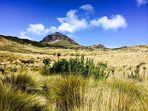 Cotopaxi